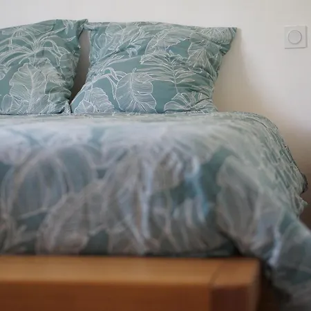 Joyu Surf Shack בידאר