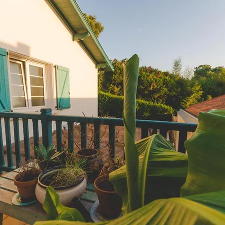 Couette-café Joyu Surf Shack *