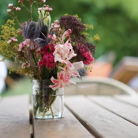 Joyu Surf Shack * Bidart