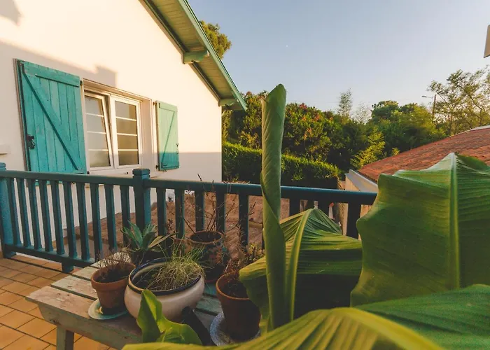 Bed & Breakfast Joyu Surf Shack *