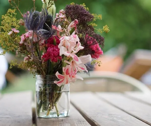 Joyu Surf Shack * Bidart